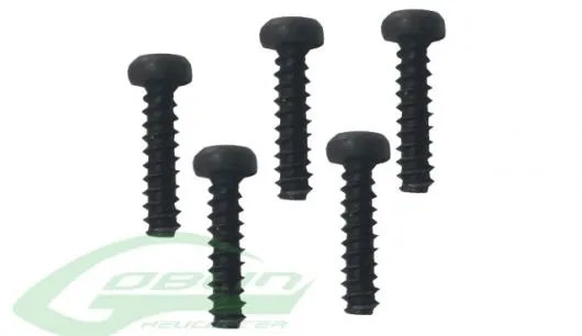 SAB Goblin Schrauben M3x10 5Stück für 380, 500, 570, RAW 580, RAW 700