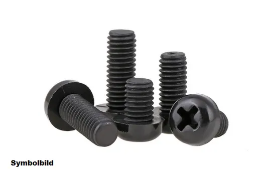 Nylon Linsenkopfschrauben M2,5x8 in schwarz 10Stück