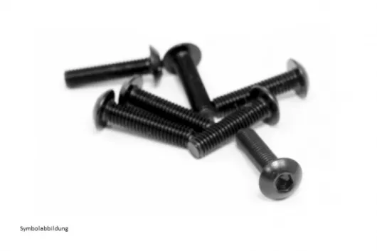 Linsenkopfschrauben M2,5x16 10Stück