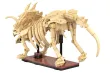 CaDA Klemmbausteine Dinosaurier Fossilien Triceratops - 272 Teile