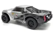 HobbyPlus RC 1:24 2WD Short Course Truck Speck-SCT RTR in Silber