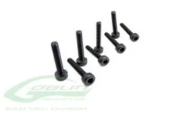 SAB Goblin Inbusschrauben M2x12 8Stück für 570