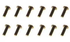 M3 Linsenkopfschraube M3x6mm aus Aluminium in schwarz eloxiert 10Stück