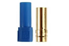 XT150 Buchse in blau