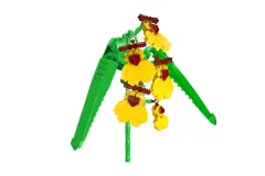 MouldKing Klemmbausteine Blumen Dancing Lady Orchidee - 237 Teile