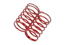 Traxxas Tuning GTR Dämpferfeder in Rot (1,02 Rate) 2Stück für Slash 1/16