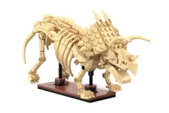 CaDA Klemmbausteine Dinosaurier Fossilien Triceratops - 272 Teile