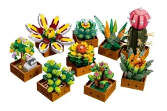 JieStar Klemmbausteine Blumen Botanischer Garten Sukkulenten - 913 Teile